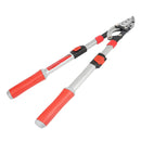 Loppers L181236 Aluminum Extendable +651490 & 651323