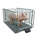 KATSU Tools Heavy Duty Digital Livestock Animal Platform Scale 3000kg 833363
