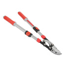 Loppers L181236 Aluminum Extendable +651490 & 651323