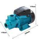 Electric Centrifugal Water Pump 1/2 HP for Clean