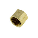 Air Line Hex Female Thread End Cap 1/8" to 1"