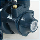 Centrifugal Peripheral 1 HP Water Transfer Pump freeshipping - Aimtools