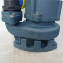 Heavy Duty Submersible Sewage Waste Water Pump 750W freeshipping - Aimtools