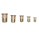 Zinc Plated Rivet Nut Assortment 100PCS M3 - M8