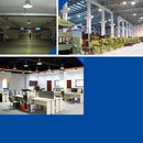 LED High Bay Lights- Wattage: 30W