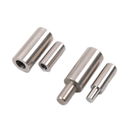 Stainless Steel Cylindrical Hinge 10*50-201
