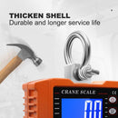 Digital Hanging Scale 1 Ton 100G OCS-P1 (F102054)